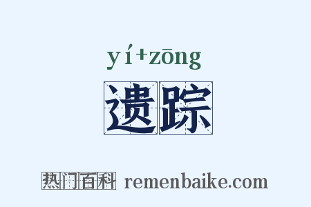 遗踪是什么意思的图片